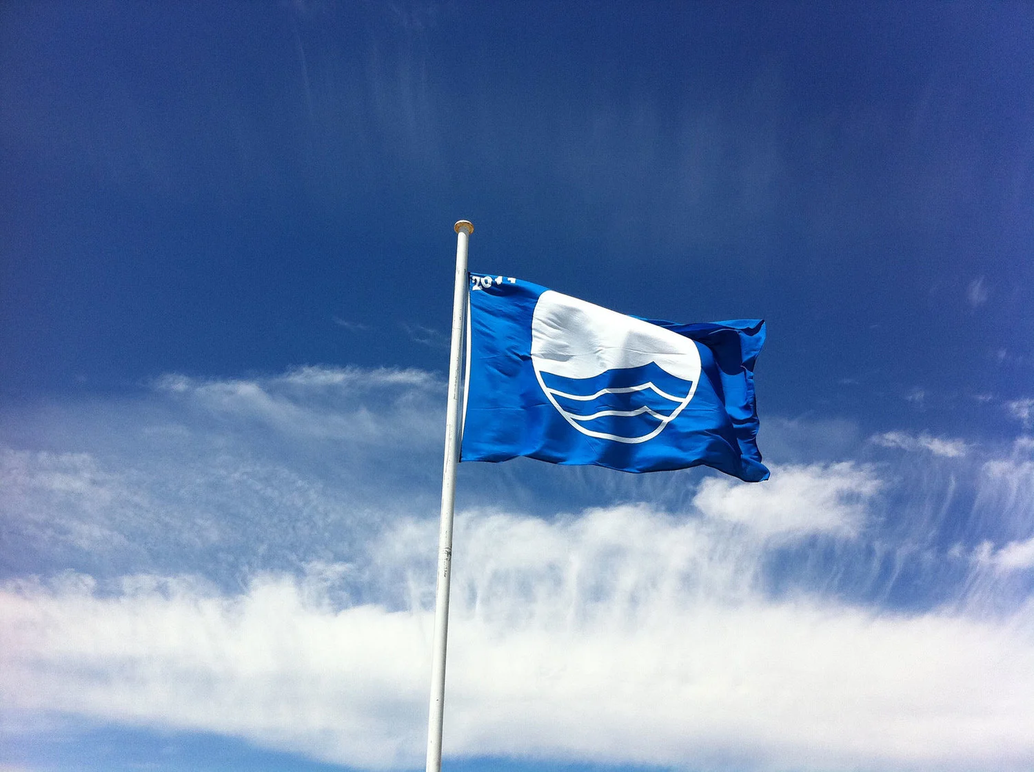 Blue Flag